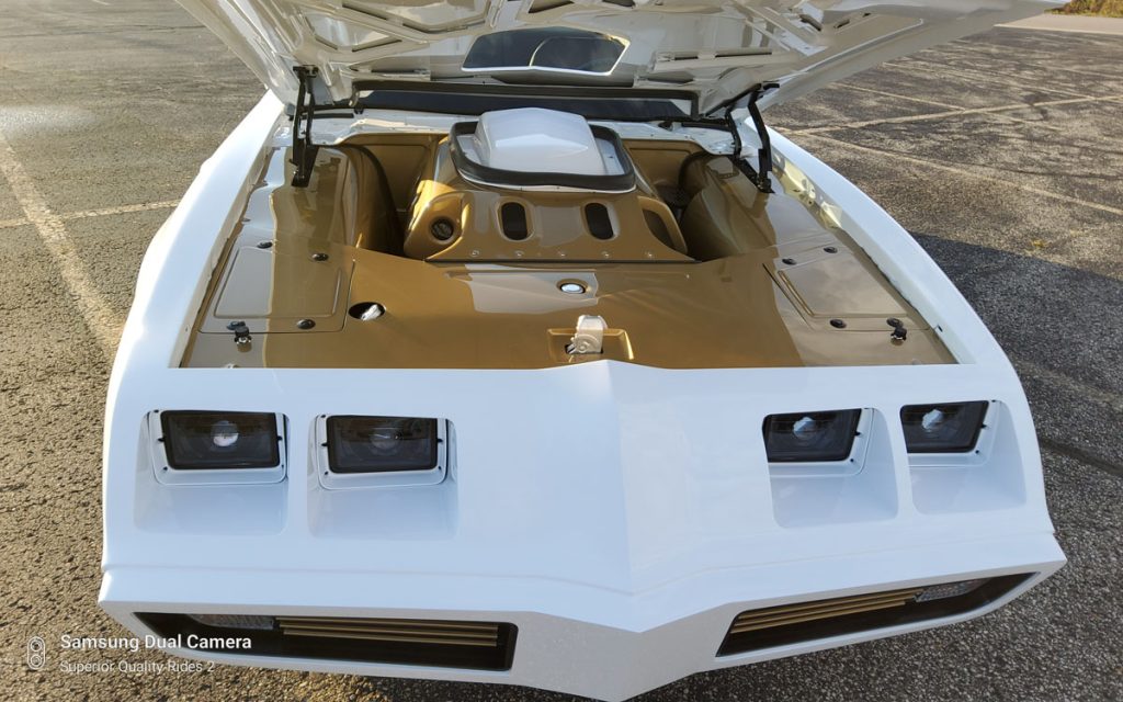 1979 Trans AM Hood Superior Quality Rides